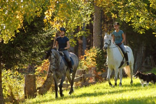 Reiten im Urlaub in Ramsau am Dachstein