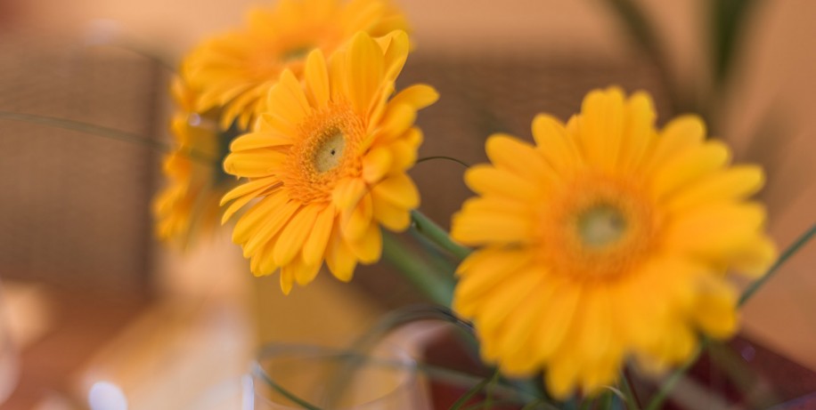 Familienzimmer mit schöne Blumen